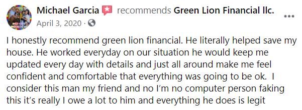 Green Lion Testimonial