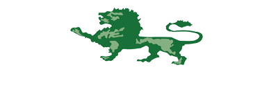 Logo Green Lion Financial